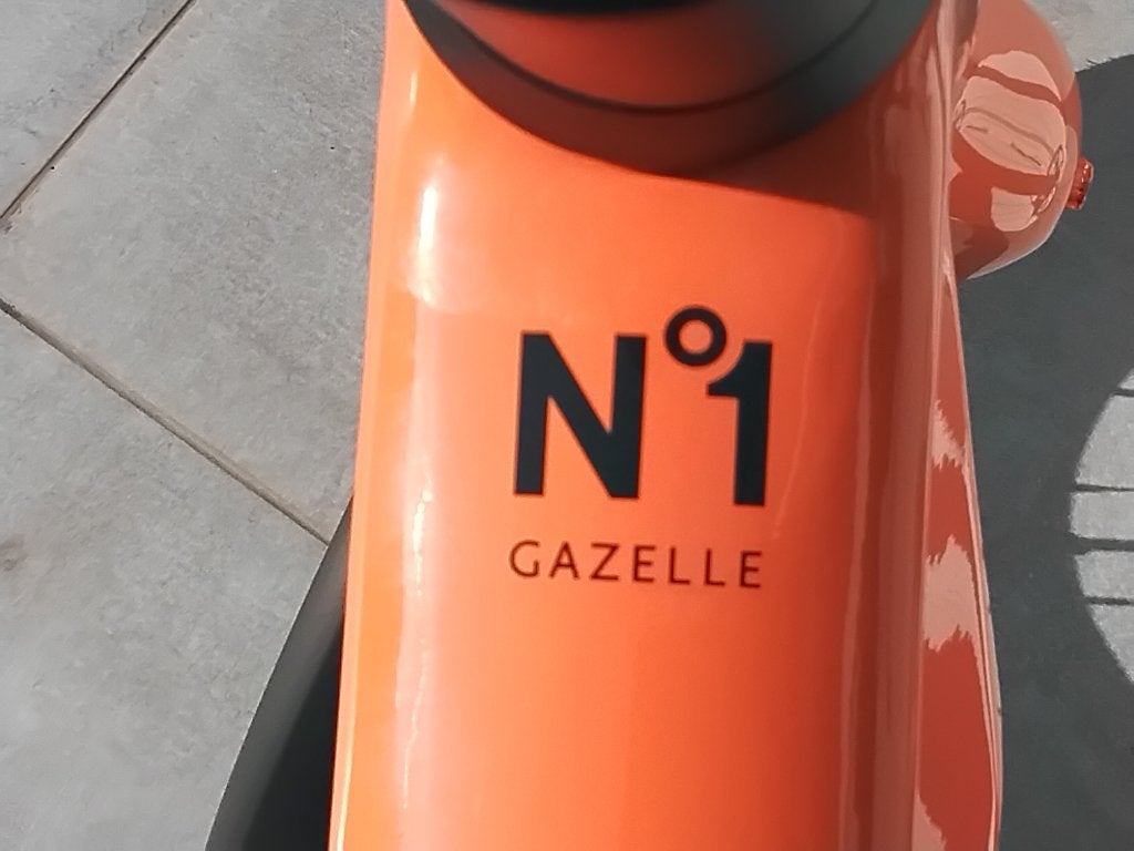 Gazelle nr 1, 55 tot 59 cm, Ophalen, Nieuw, Gazelle