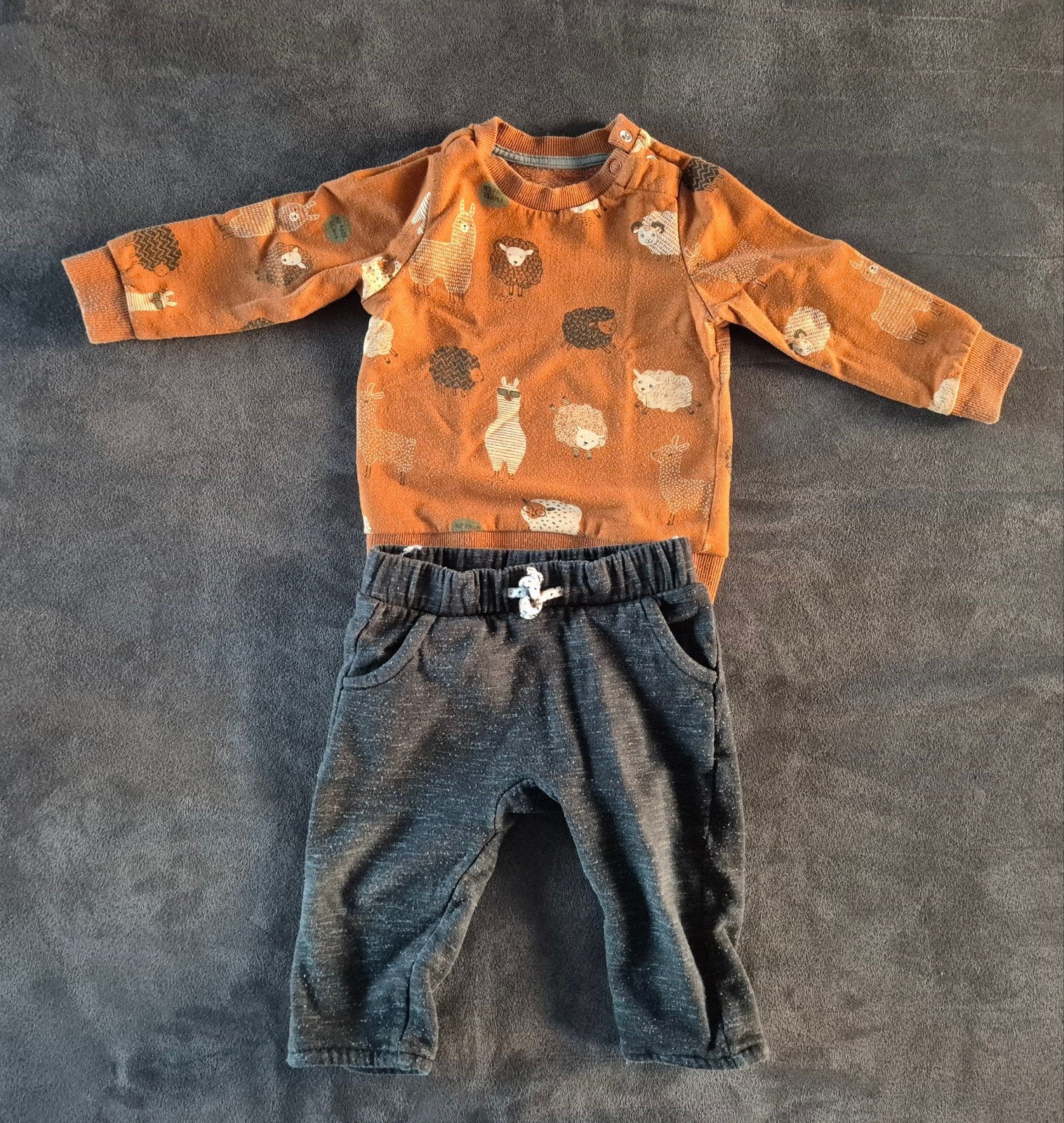 Bruin/grijze leuke outfit met lama's - Maat 80, Enfants & Bébés, Vêtements de bébé | Taille 80, Garçon, C&A, Enlèvement ou Envoi