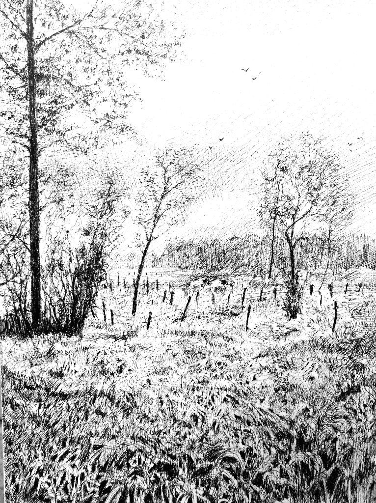 Originele tekening "De Polders" 24x32cm Koen De Weerdt, Verzenden, Tekening, Pentekening, Gesigneerd