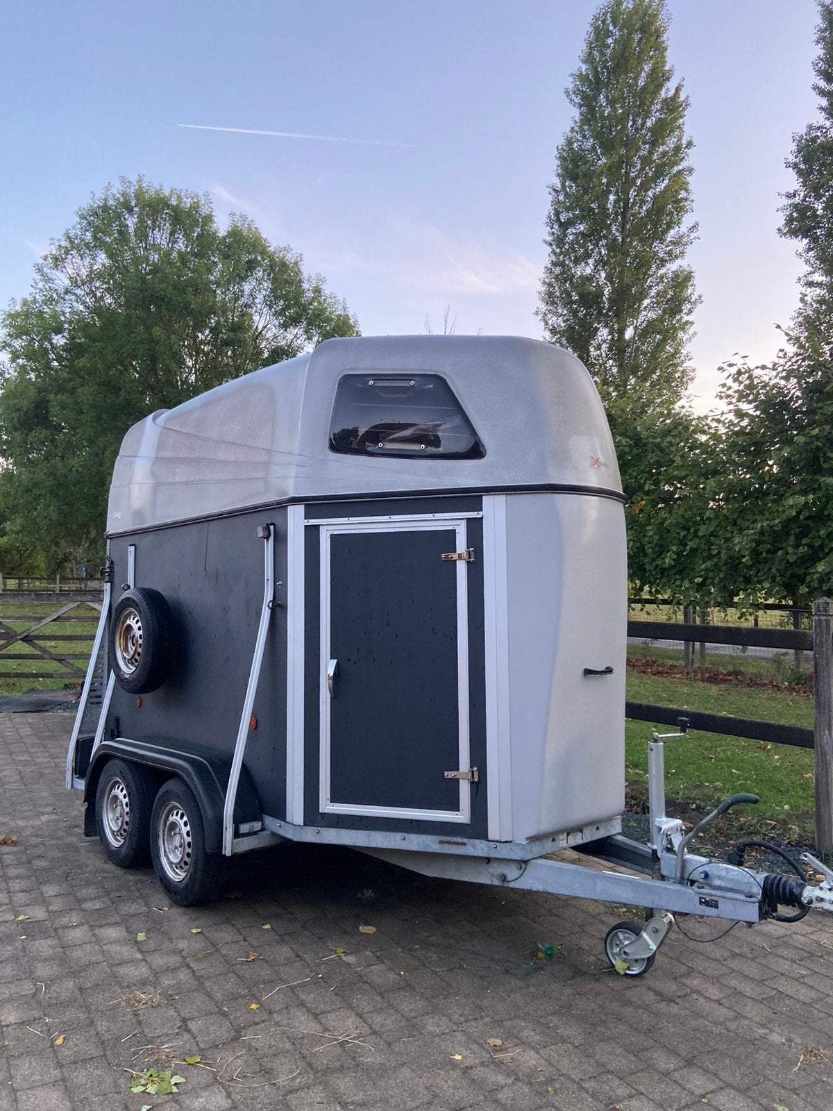 Paardentrailer xxl- stinger 2 paarden, Enlèvement, Utilisé, Aluminium, Remorque 2 chevaux