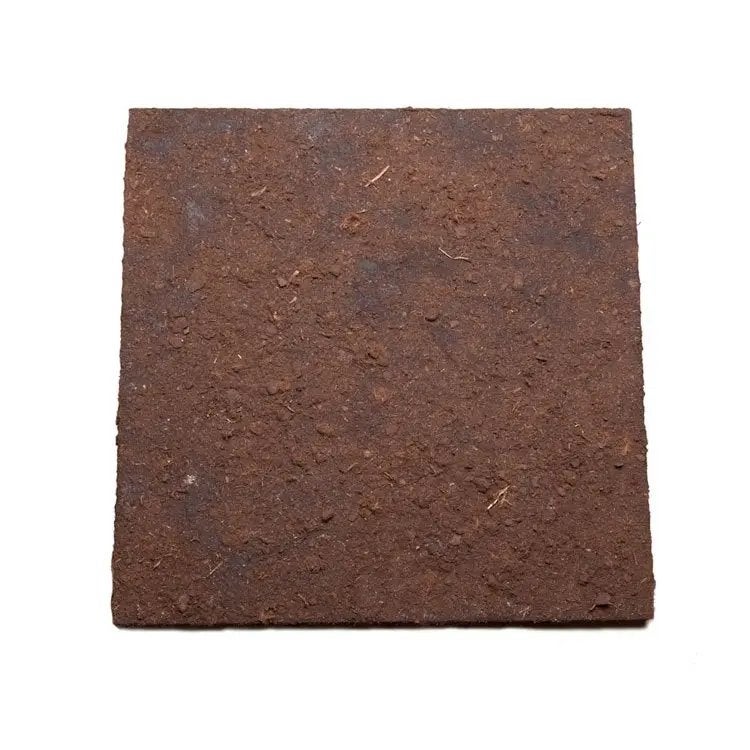 Parois latérales/arrière du terrarium recouvertes de tourbe, Animaux & Accessoires, Reptiles & Amphibiens, Amphibien, 0 à 2 ans