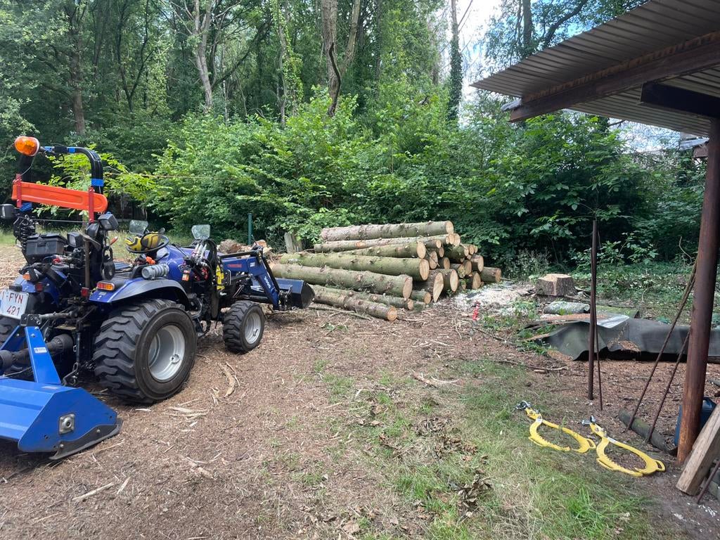 Vellen van bomen en groenonderhoud, Tuin en Terras, Ophalen