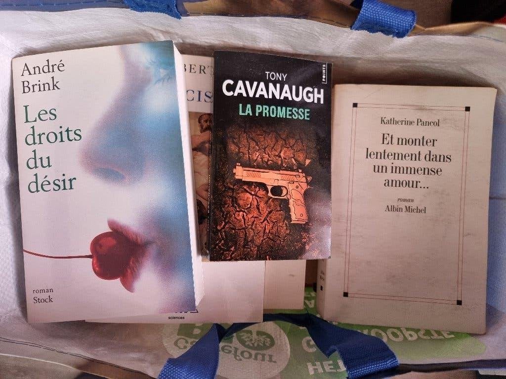livres, Livres, Enlèvement, Utilisé, Divers auteurs