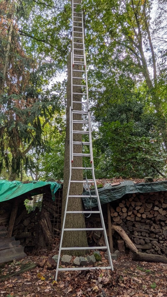 Aluminium schuifladder 3-delig (3x11 sporten) – Topstaat!, Doe-het-zelf en Bouw, Ophalen, Gebruikt, Ladder, Opvouwbaar of Inschuifbaar