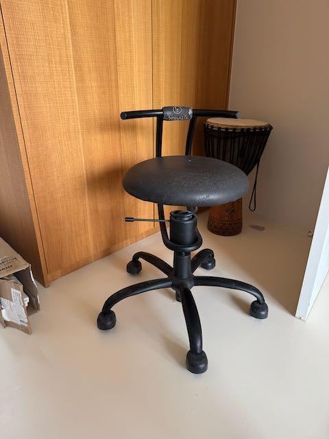 Ergonomische bureaustoel, Maison & Meubles, Chaises de bureau, Enlèvement, Utilisé, Chaise de bureau, Ergonomique