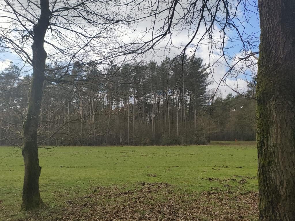 Stuk weideland met bos, dichtbij Kattevennen Genk, Immo, Gronden en Bouwgronden, Genk-Zutendaal, Verkoop zonder makelaar, 1500 m² of meer