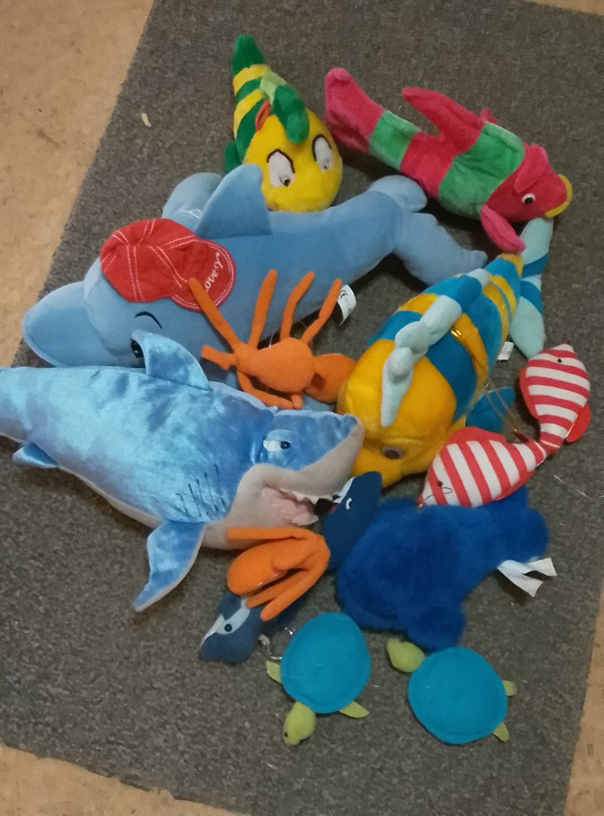 Een hele school zeedieren, Ophalen