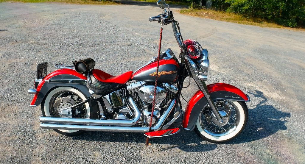 Harley Davidson Softail Deluxe, Permis Moto A, Tourisme, Occasion, Plus de 35 kW