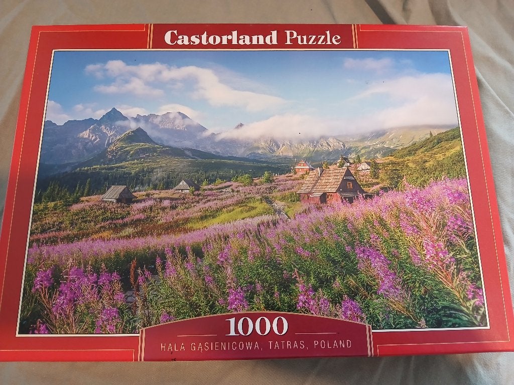 Castorland Puzzel - 1.000 stukjes, Ophalen, 500 t/m 1500 stukjes, Gebruikt, Legpuzzel