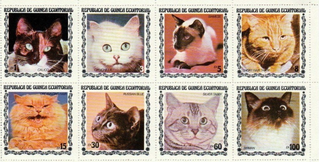 Timbres Chats, Envoi, Affranchi