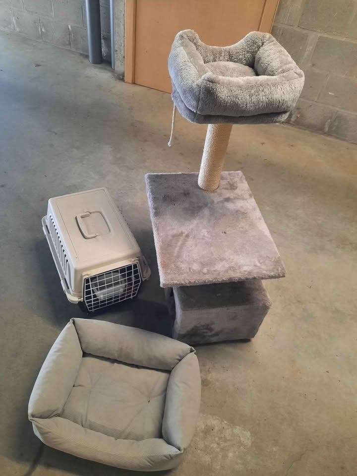 Arbre à chat + panier + panier de transport, Dieren en Toebehoren, Katten-accessoires, Ophalen, Gebruikt
