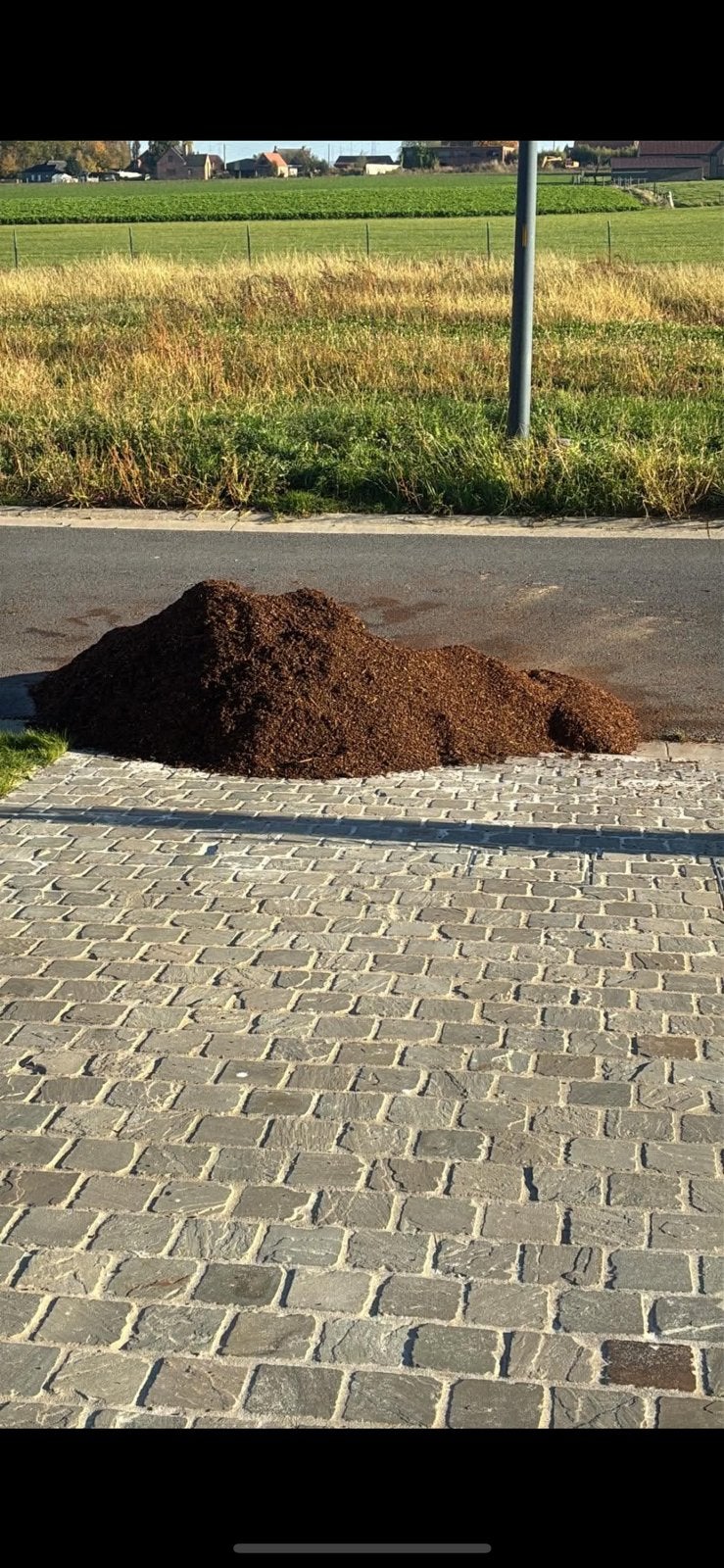 Naaldschors te koop nieuw