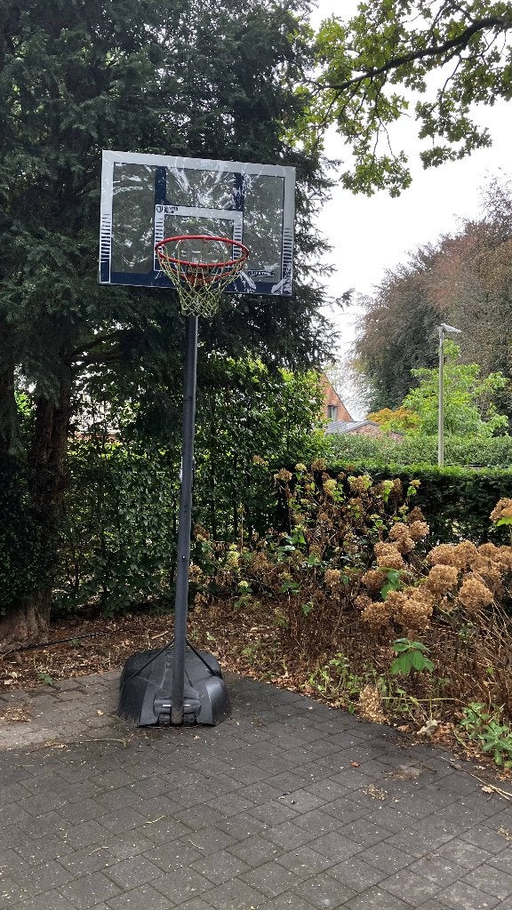Basketbal Paal (Lifetime), Sport en Fitness, Basketbal, Ophalen, Zo goed als nieuw, Ring, Bord of Paal