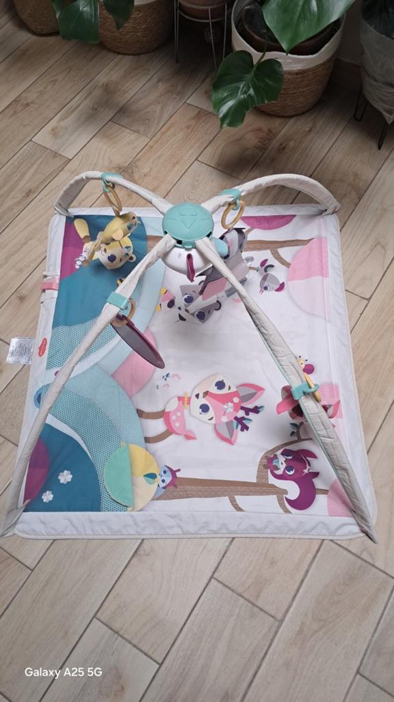 Tapis d'éveil, Enfants & Bébés, Enlèvement