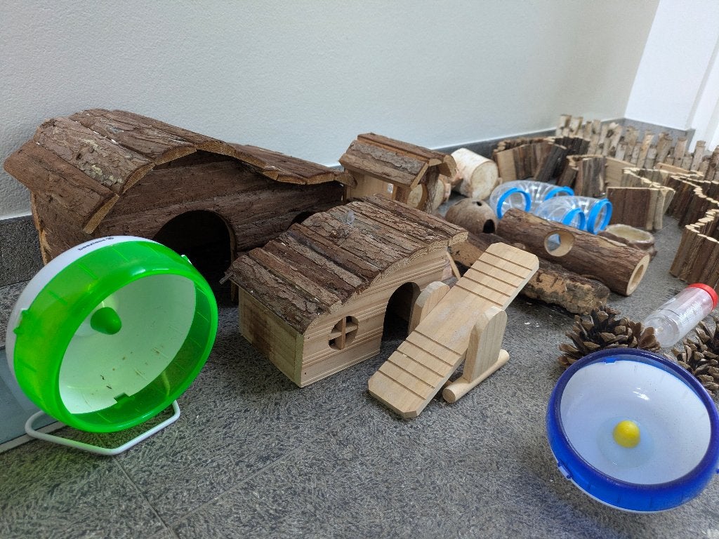 Inrichting hamsterkooi / Hamsterscaping, Dieren en Toebehoren, Ophalen, Gebruikt, Overige typen