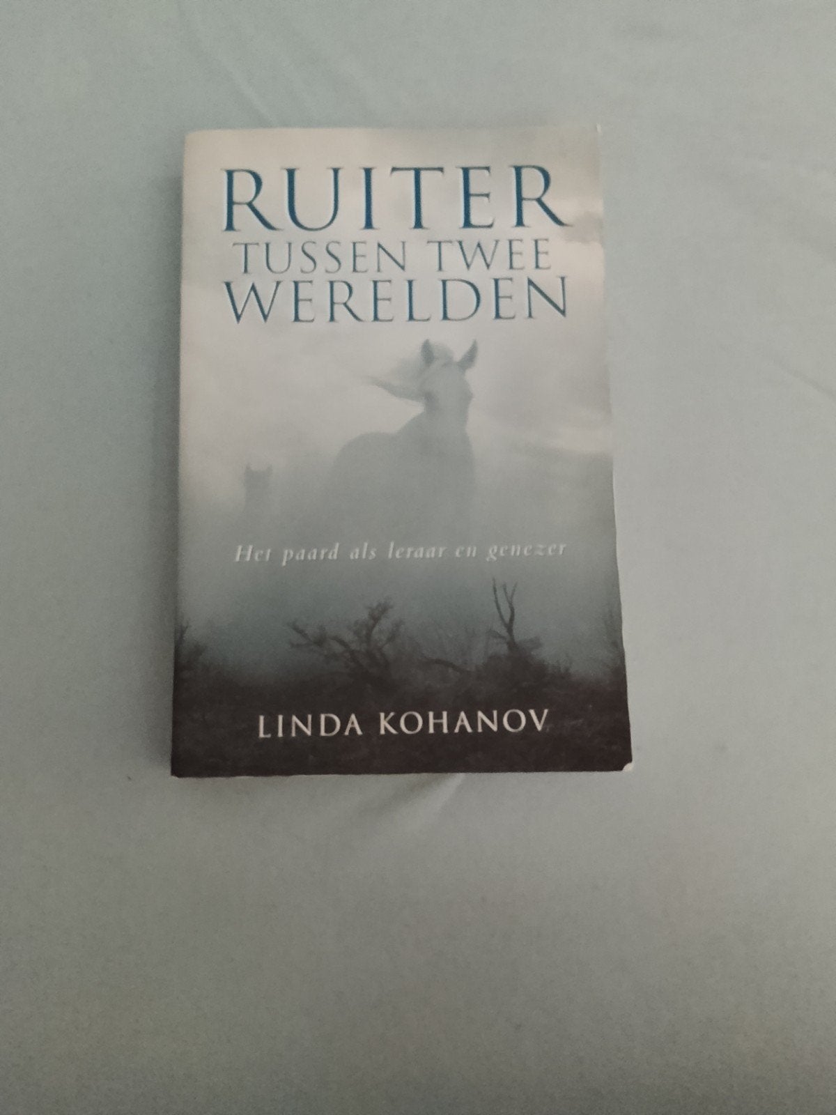 Linda Kohanov - Ruiter tussen twee werelden, Enlèvement, Linda Kohanov