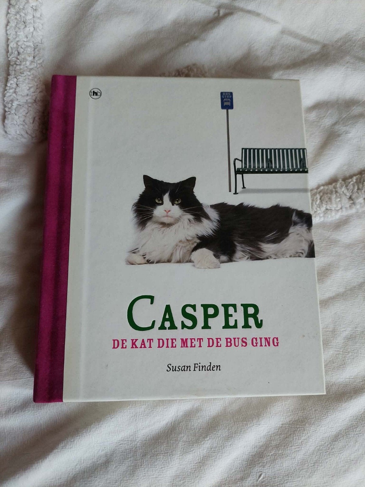 Casper, de kar die de bus nam - Suzan Finden, Enlèvement