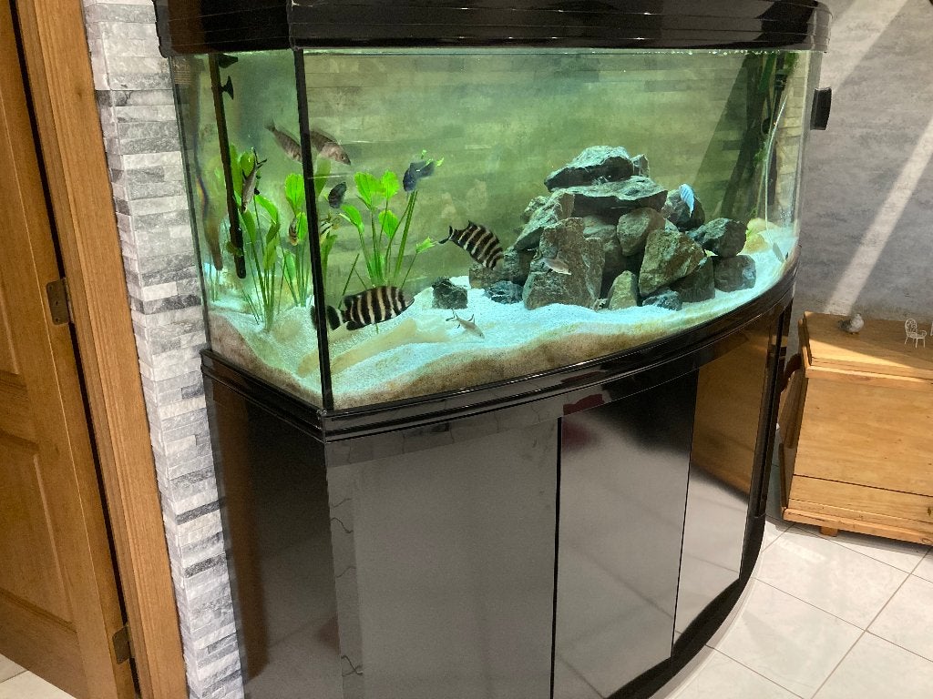 Aquarium tout complet., Enlèvement, Chauffage, Utilisé, JBL