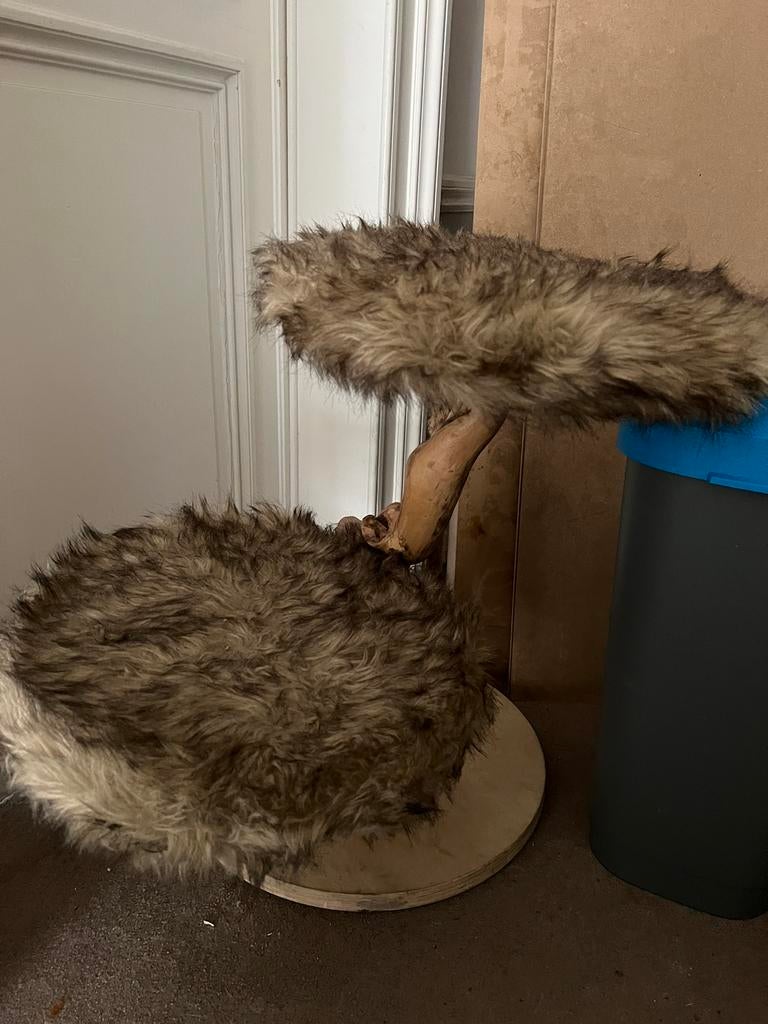 Arbre à chat, Enlèvement, Comme neuf