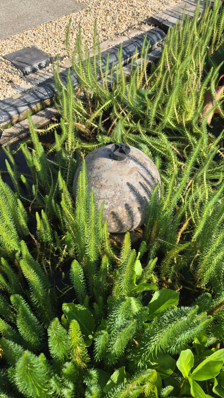 Fontein en reigerbol, Jardin & Terrasse, Étangs, Enlèvement, Utilisé