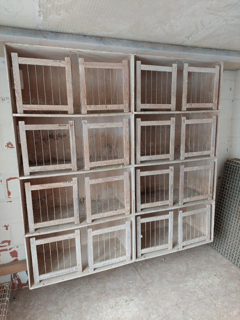 2 HOUDEN KWEEKBAKKEN 40 EURO STUK
