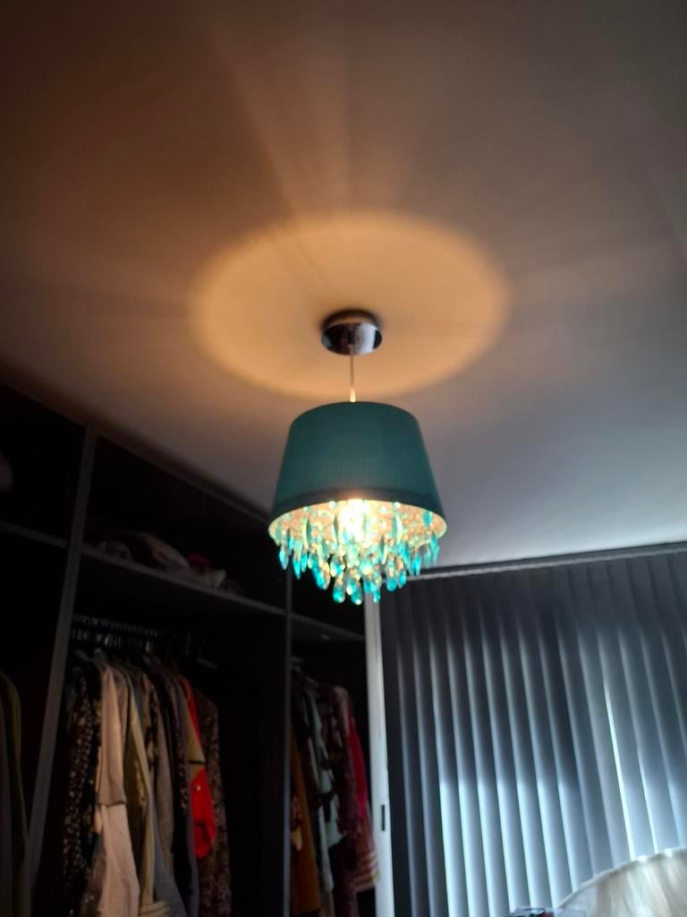 Abat-jour bleu pour lustre, Enlèvement