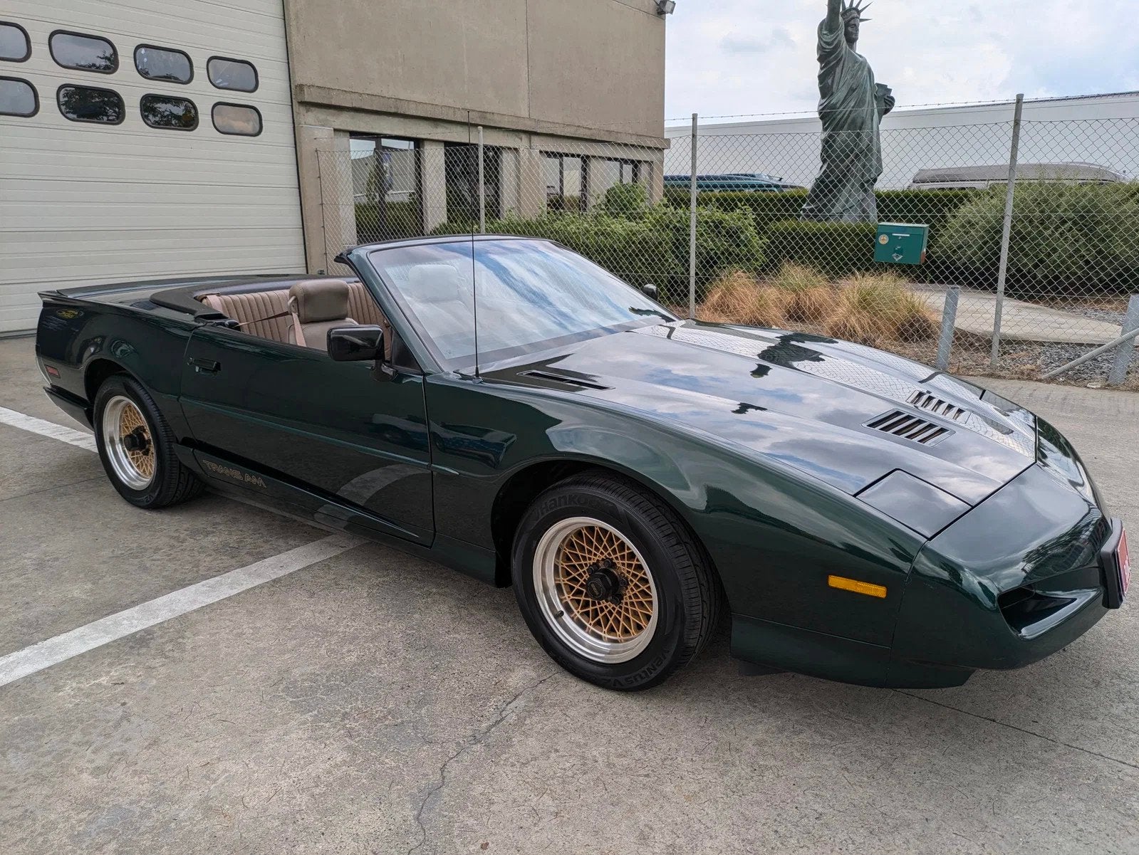 Pontiac Trans-Am firebird (bj 1992, automaat), foto 8