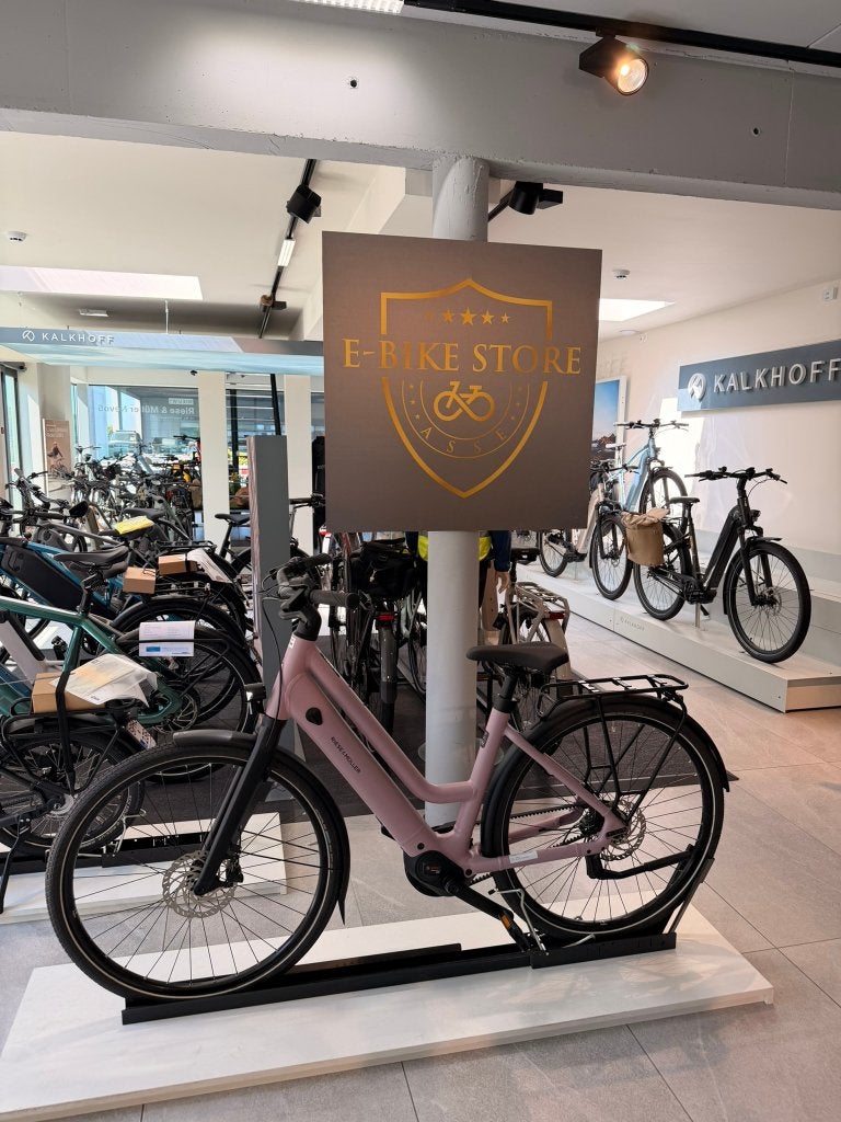 Riese & Müller Culture Mixte Silent DEMOFIETS