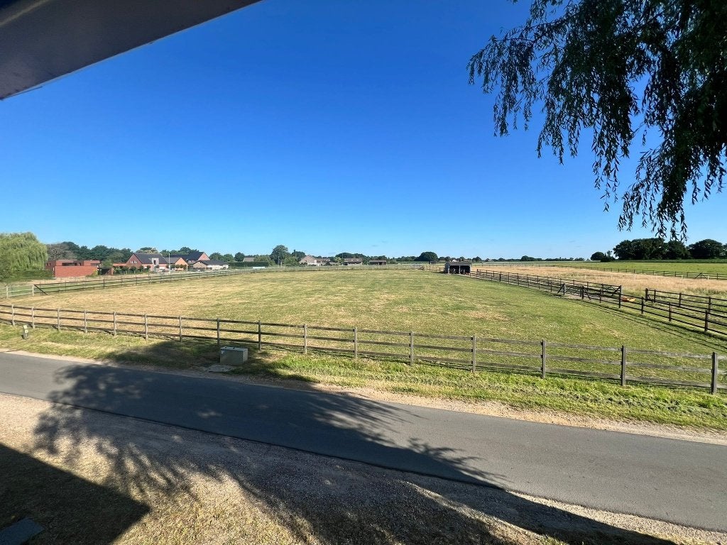 Weide te huur in Bree, Animaux & Accessoires, Pâturage, 2 ou 3 chevaux ou poneys