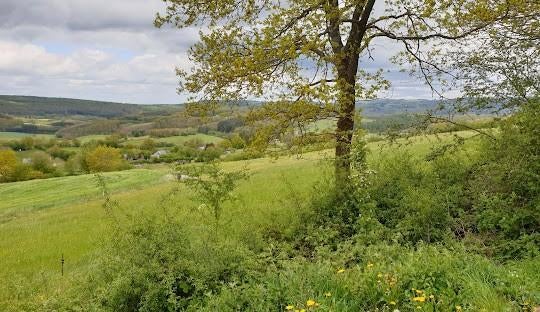 Recherche petit terrain