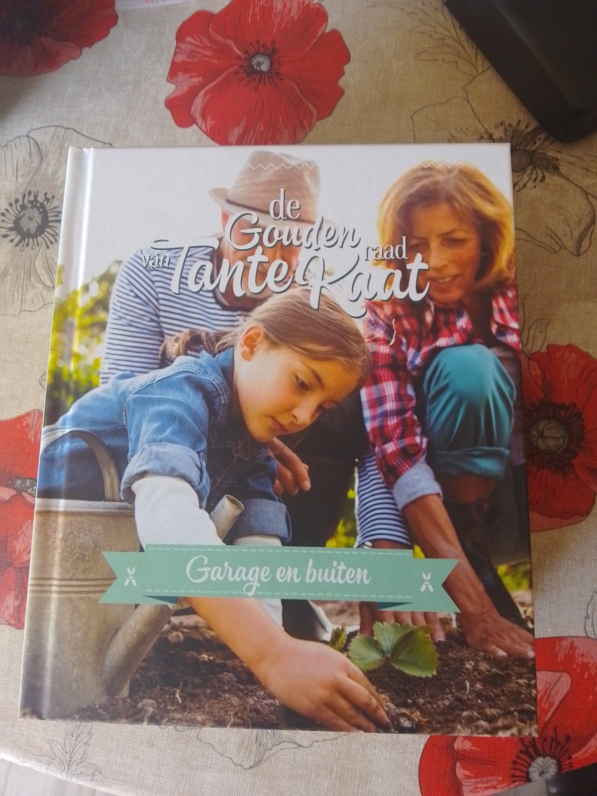 De gouden raad van stante kaat, Boeken, Ophalen, Nieuw, Dalhuijsen - Nuis Elma