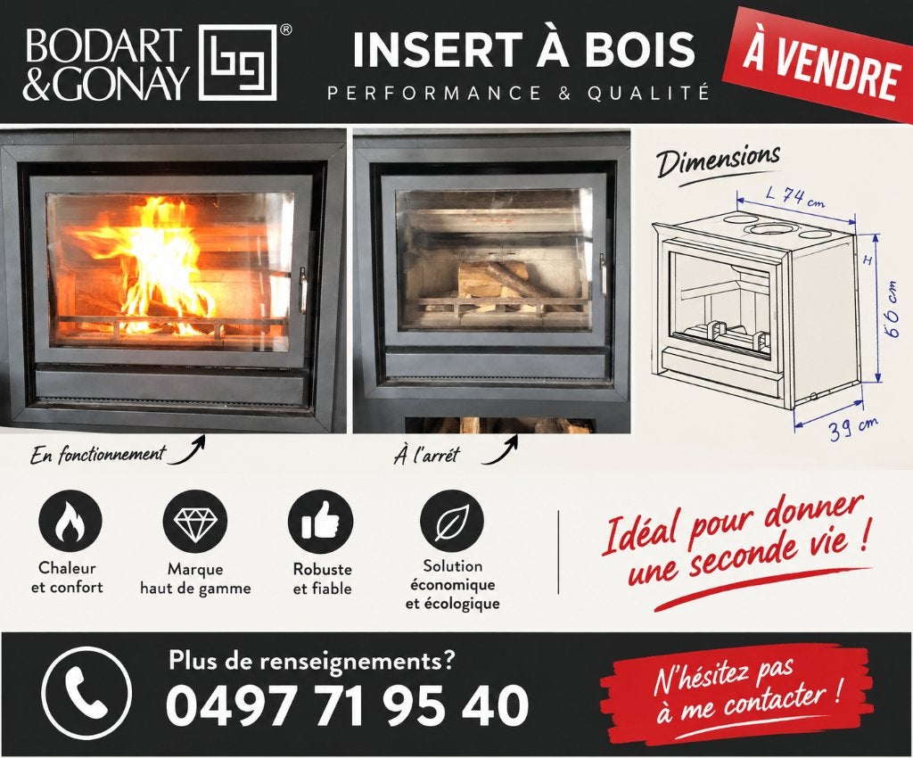 Insert à bois Bodart & Gonay – Bon état, Encastré, Enlèvement, Utilisé, Bois