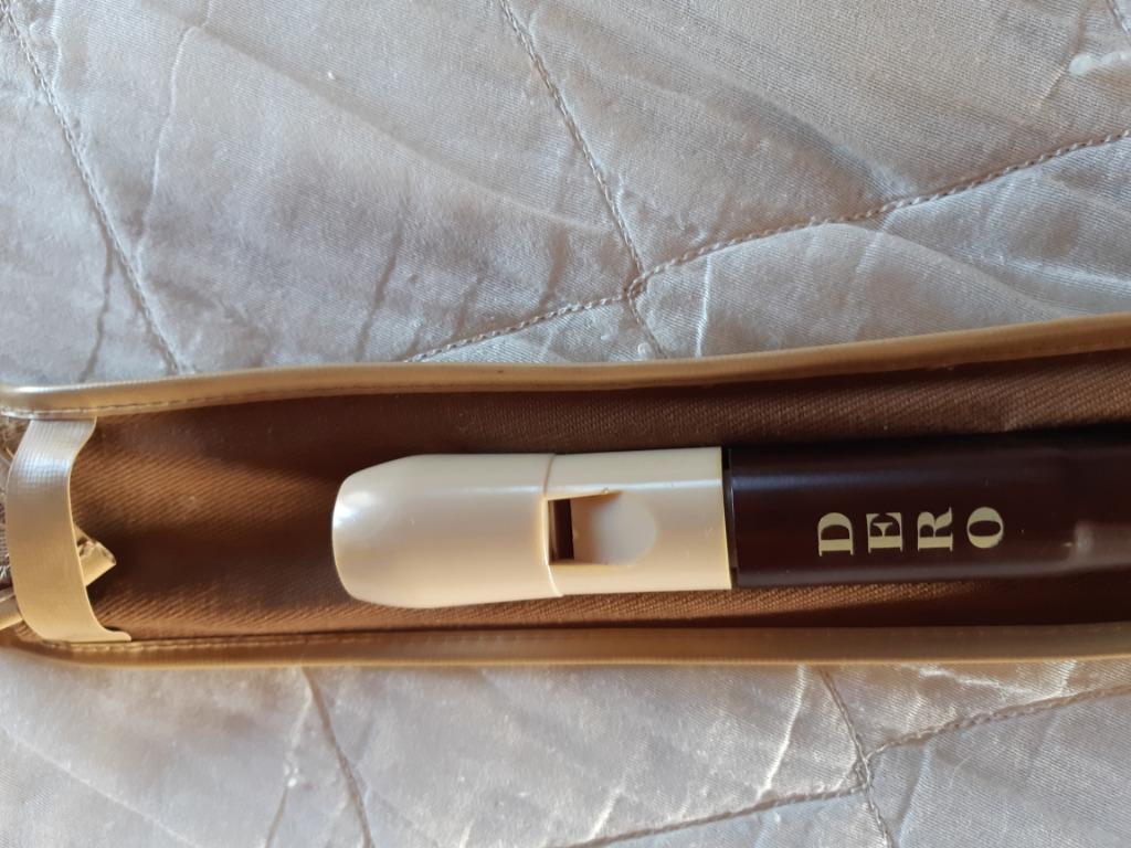 flute à bec Dero + sa housse origine etat impeccable, Musique & Instruments, Instruments à vent | Flûtes à bec, Enlèvement, Comme neuf