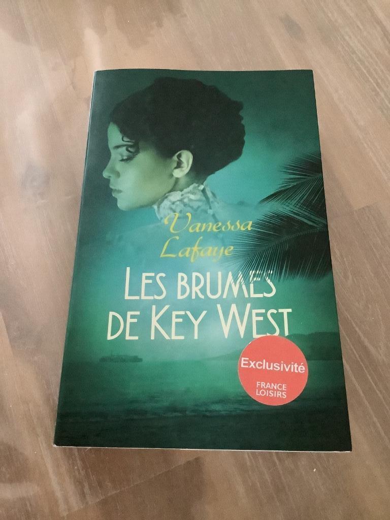 Livre Les Brumes de Key West de Vanessa Lafaye, Enlèvement ou Envoi, Utilisé, Vanessa Lafaye, Amérique