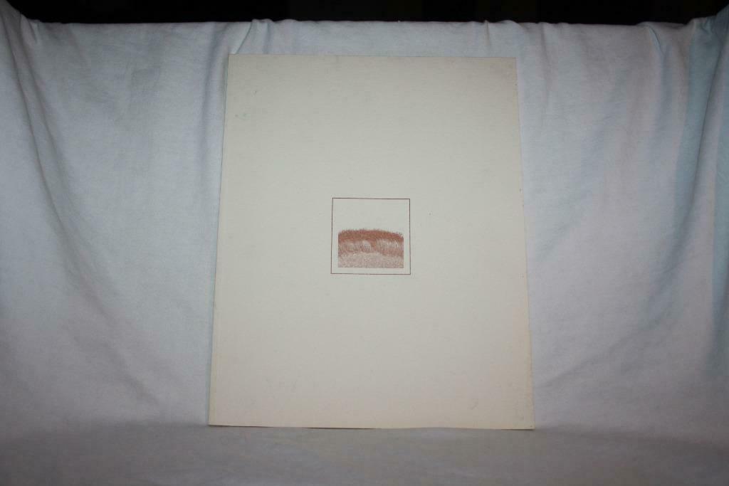 Wijland jaarboek 2005 – Werner Ryckeboer Galerie, beelden..., Ophalen of Verzenden, Gelezen, Overige onderwerpen