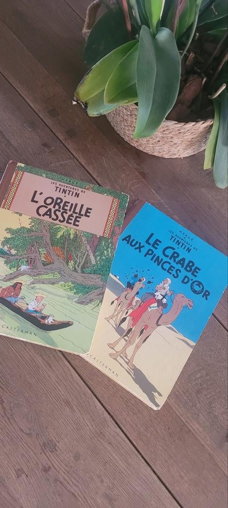 Lot de 2 albums Tintin – Casterman (anciens), Enlèvement ou Envoi
