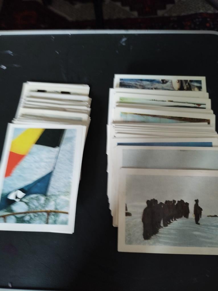 Cote D'or Antarctica, Enlèvement ou Envoi