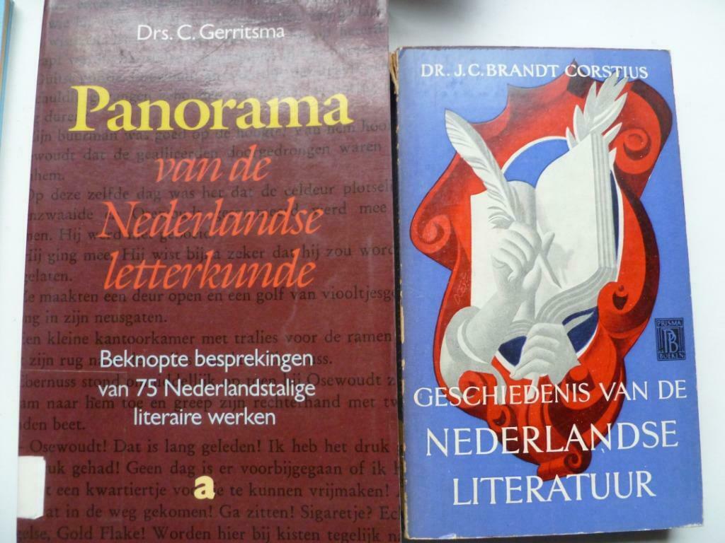 geschiedenis v.d.literatuur; panorama v.d. Nederlandse lette, Ophalen of Verzenden, Gelezen