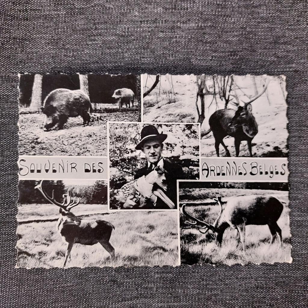 Oude postkaart Ardennen, Collections, Cartes postales | Belgique, Enlèvement ou Envoi