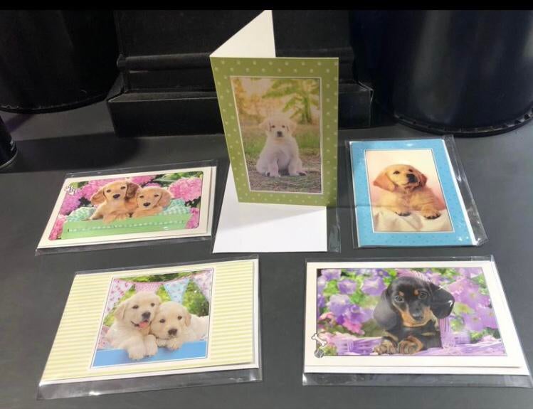Lot de 5 cartes pour vœux neuves, Enlèvement, Neuf