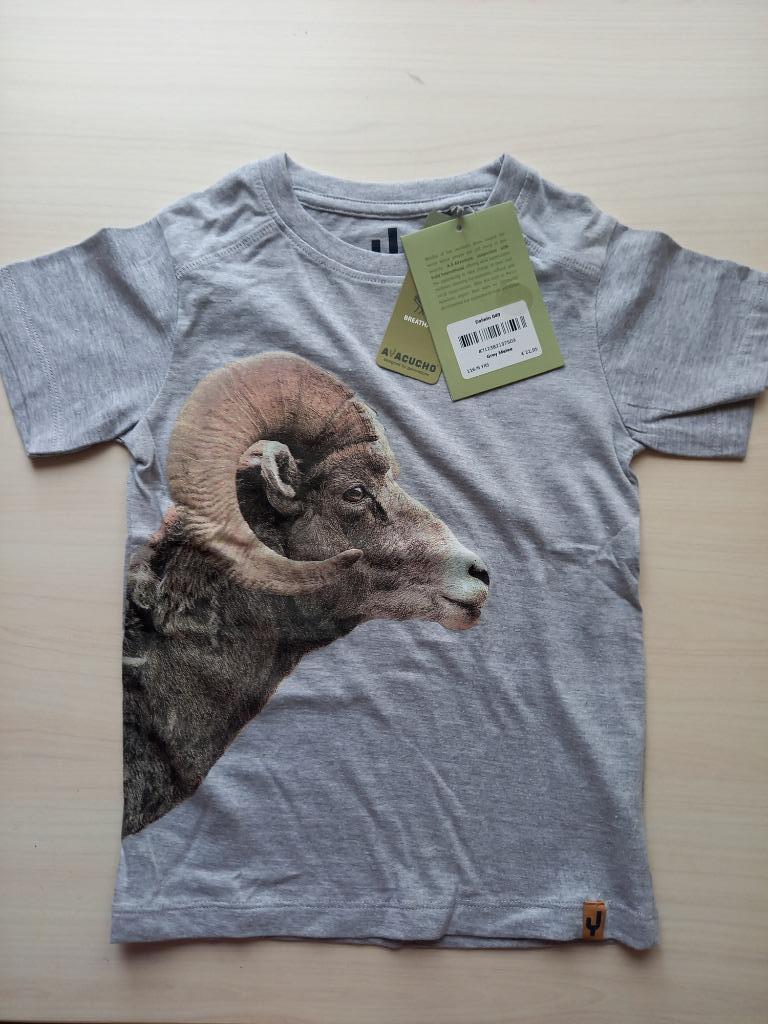 Nouveau t-shirt taille 110/5 ans pour garçon, Neuf, Garçon, Enlèvement ou Envoi, Chemise ou À manches longues