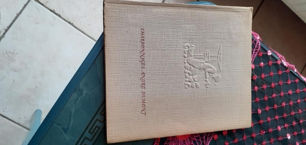 Livre charbonnage 1907 1957, Enlèvement ou Envoi, Comme neuf