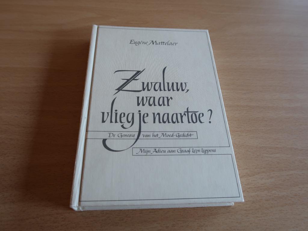 Zwaluw, waar vlieg je naartoe?, Enlèvement