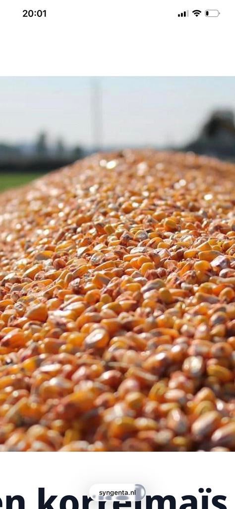Agrarisch grond 8 hectare in midden- Marokko, Zakelijke goederen, Ophalen of Verzenden