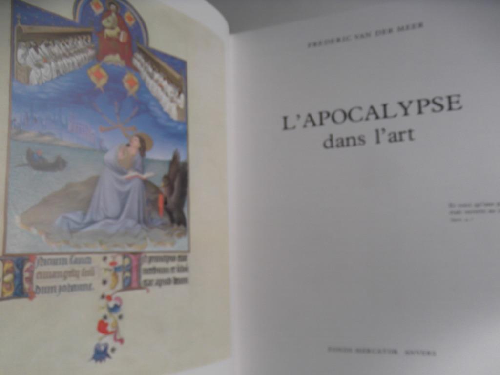 L'apocalypse dans l'art, Livres, Religion & Théologie, Enlèvement ou Envoi, Neuf, Christianisme | Catholique