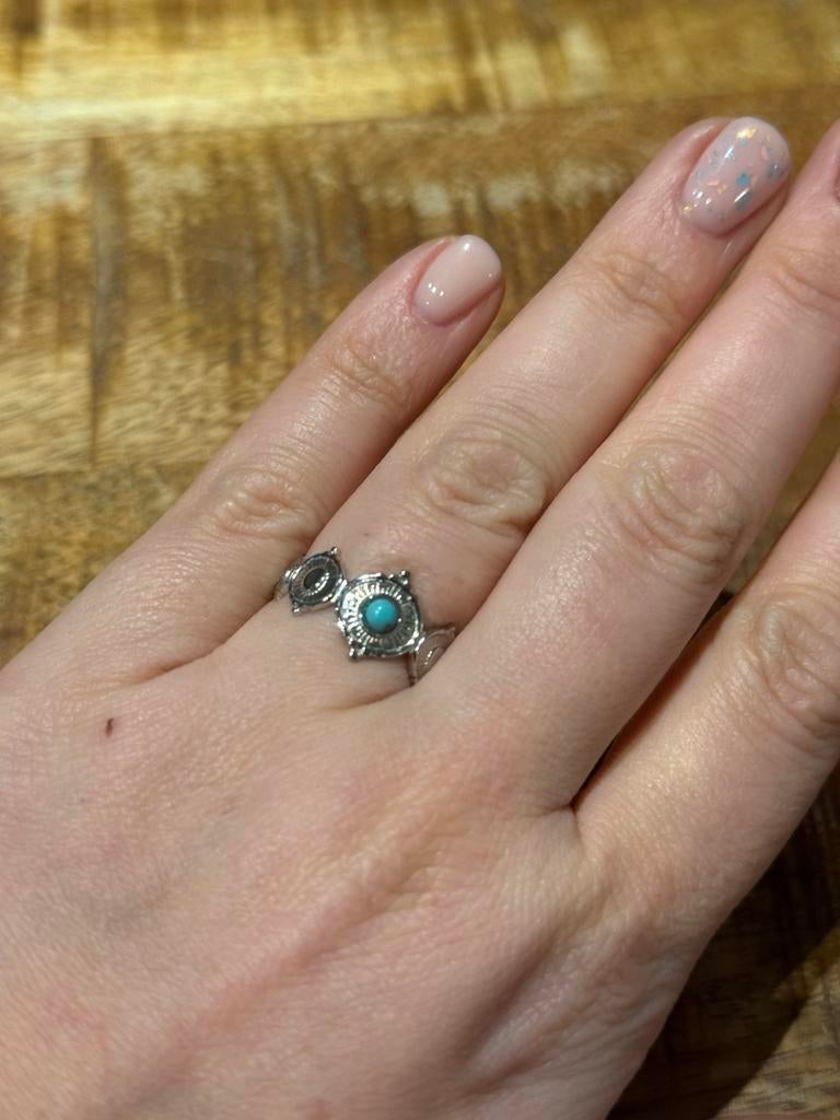 Nieuwe RVS ring met natuursteentje, Bijoux, Sacs & Beauté, Bagues, Neuf, Enlèvement ou Envoi, Fer ou Acier, Argent