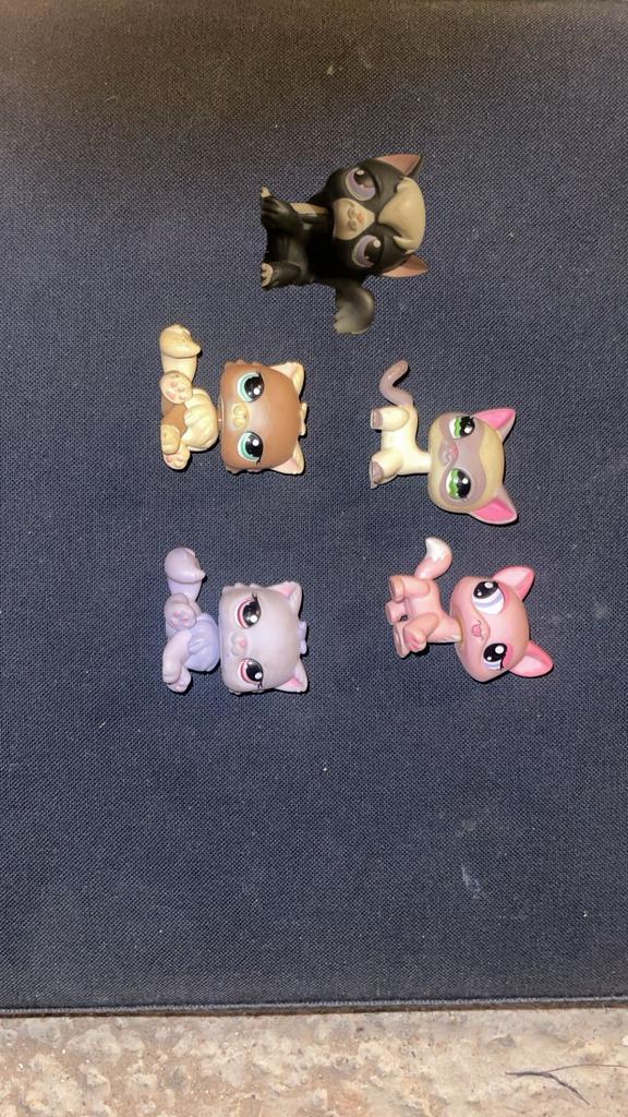 Littlest Pet Shop/LPS - katten, Ophalen, Gebruikt