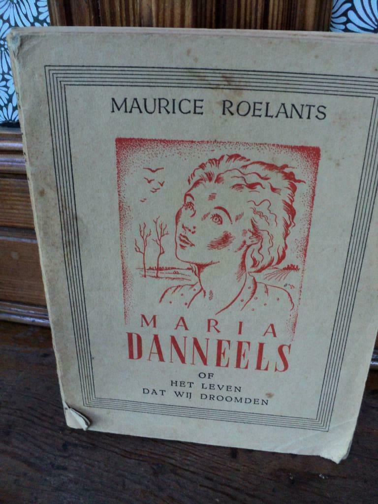 boek Maria Danneels of het leven dat wij droomden, Antiek en Kunst, Ophalen of Verzenden