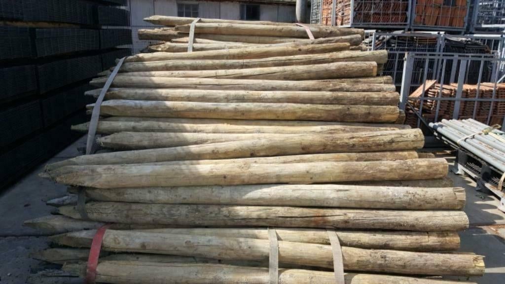 Weidepalen 3a 4 m lang, Tuin en Terras, Ophalen, Gebruikt, 250 cm of meer, Palen