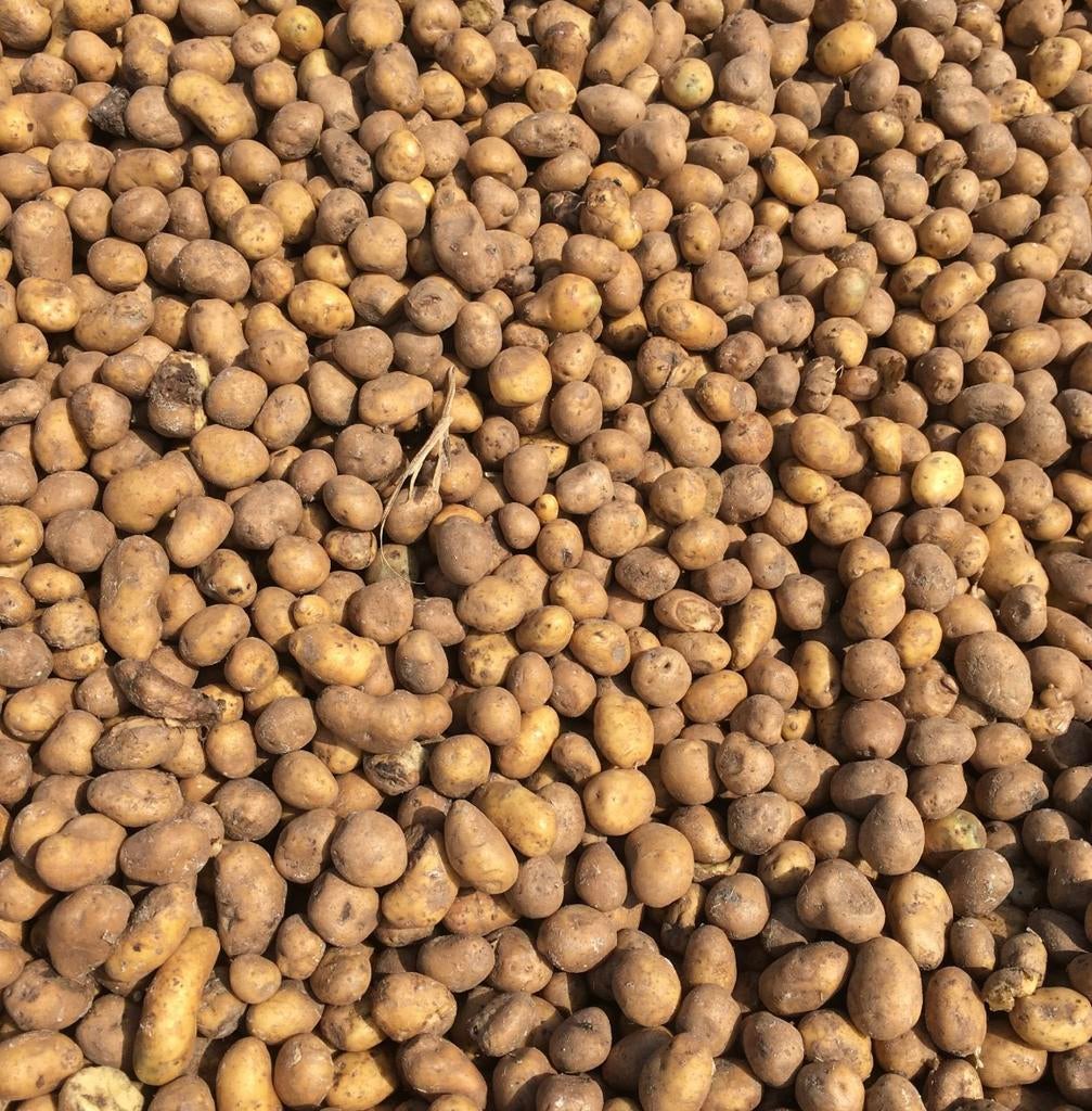 Gezocht voeder aardappelen, Zakelijke goederen, Ophalen